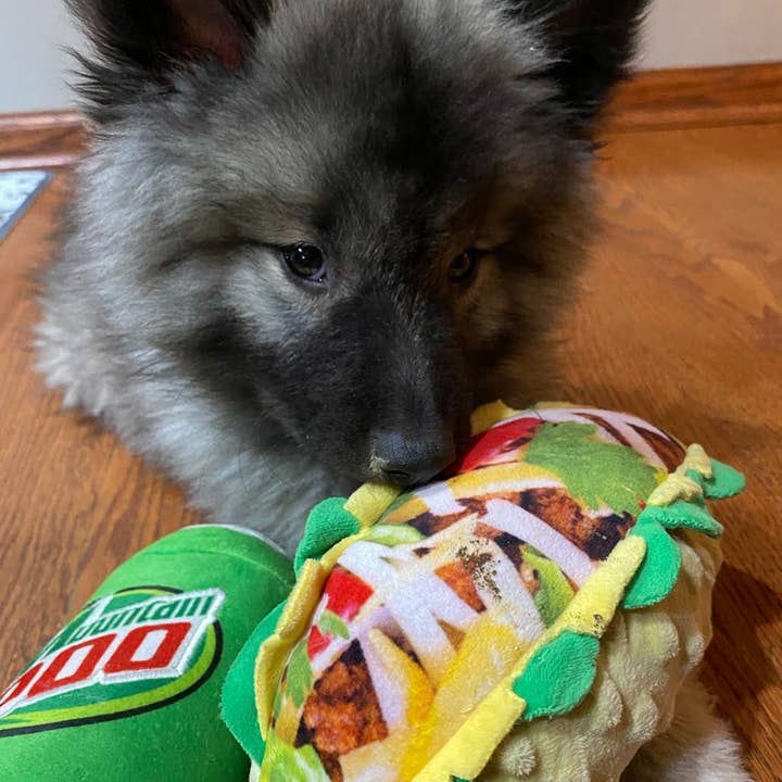 Huxley & Kent - Wholesale Pet Plush Toy - Dog - Taco Tuesday Dog Toy6