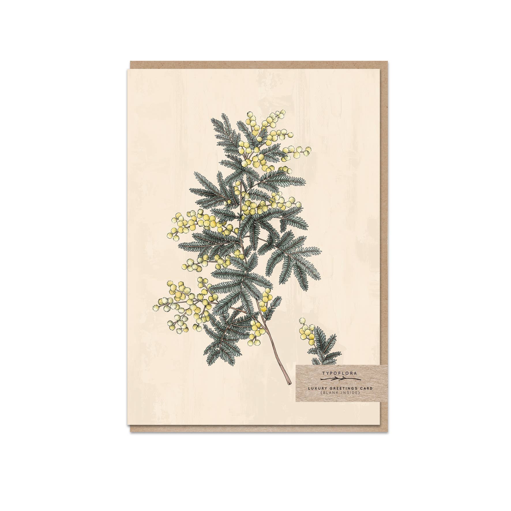 Typoflora - Venta al por mayor Tarjetas de felicitación - Tarjeta con retrato de Wattles0