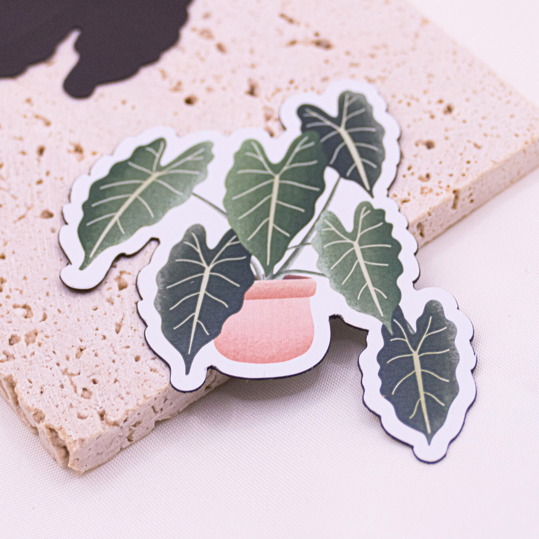 Tilda&Theo - Wholesale Magnet - Magnet plant begonia fridge magnet indoor plant1
