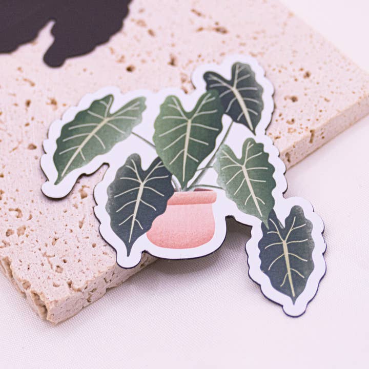 Tilda&Theo - Wholesale Magnet - Magnet plant begonia fridge magnet indoor plant1