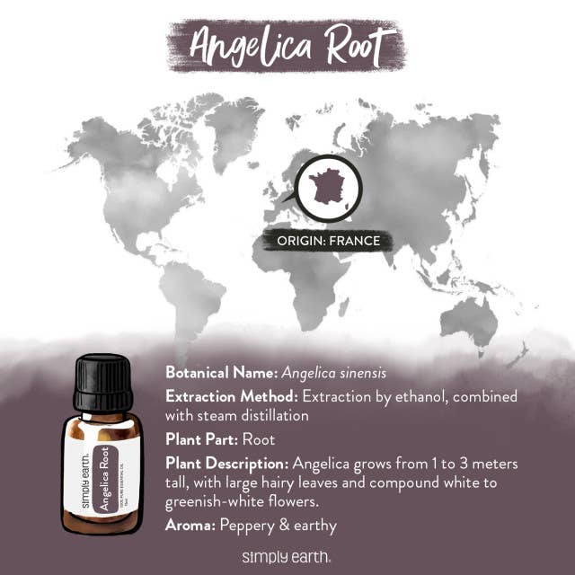 Simply Earth - Wholesale Essential Oil - Angelica Root Essential Oil 5ml2