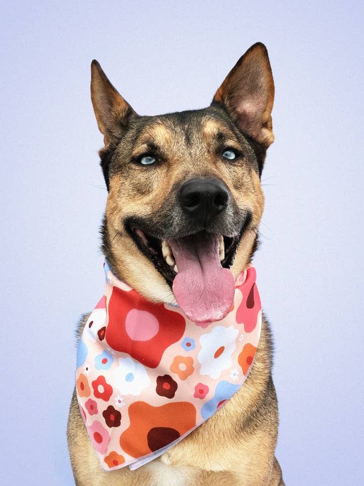 Bandana pour animaux | Floral corail pour la vente par Idlewild Co.