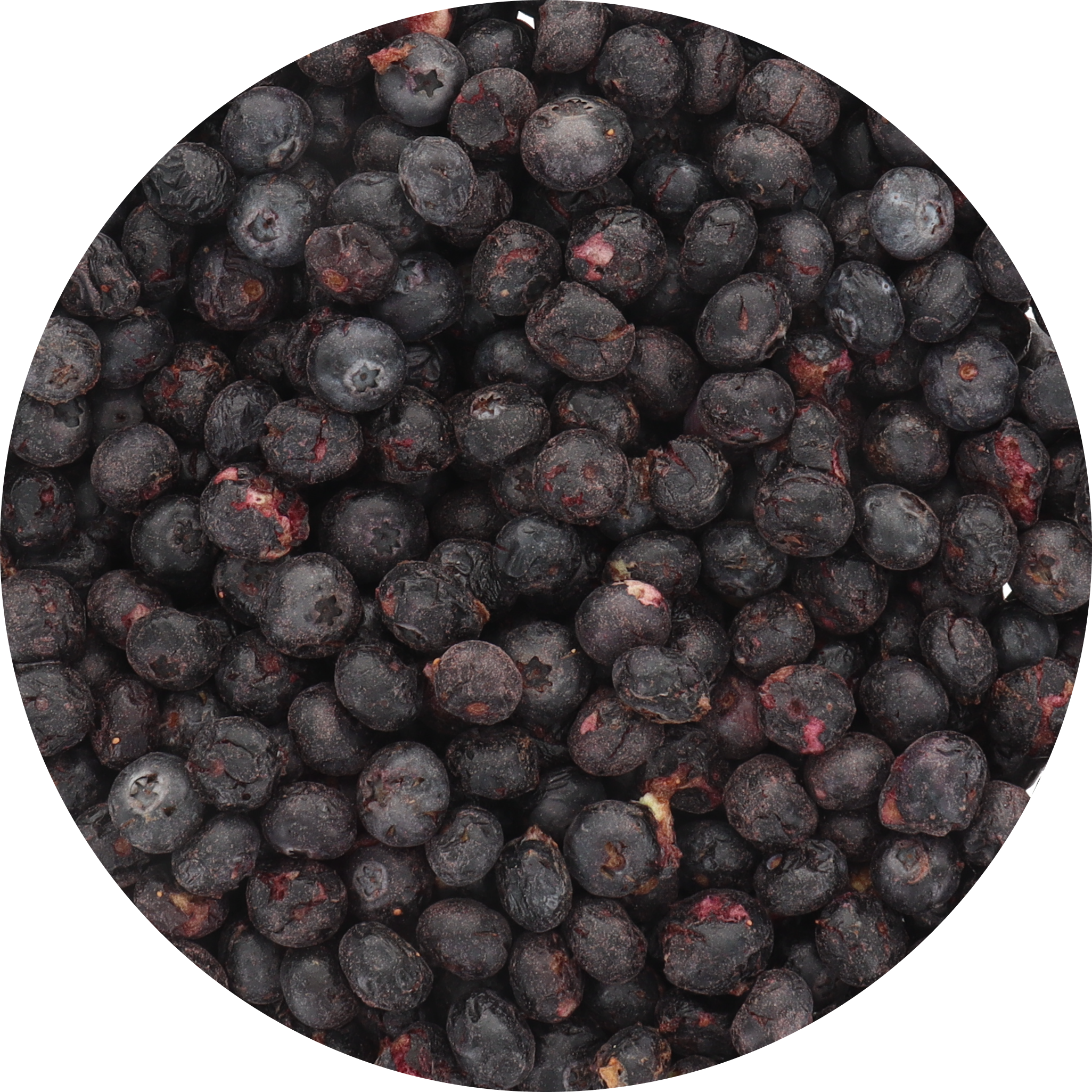 Arctic Farms - Vente Fruits secs/déshydratés - Myrtilles lyophilisées Arctic Farms Garden (vrais fruits)4