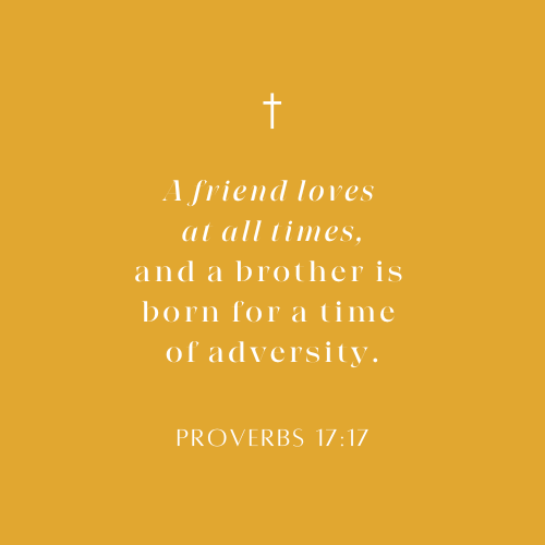 Revelation Candle - Wholesale Jar/Filled Candle - BEST SELLER "A Friend Loves At All Times" Revelation Candle5