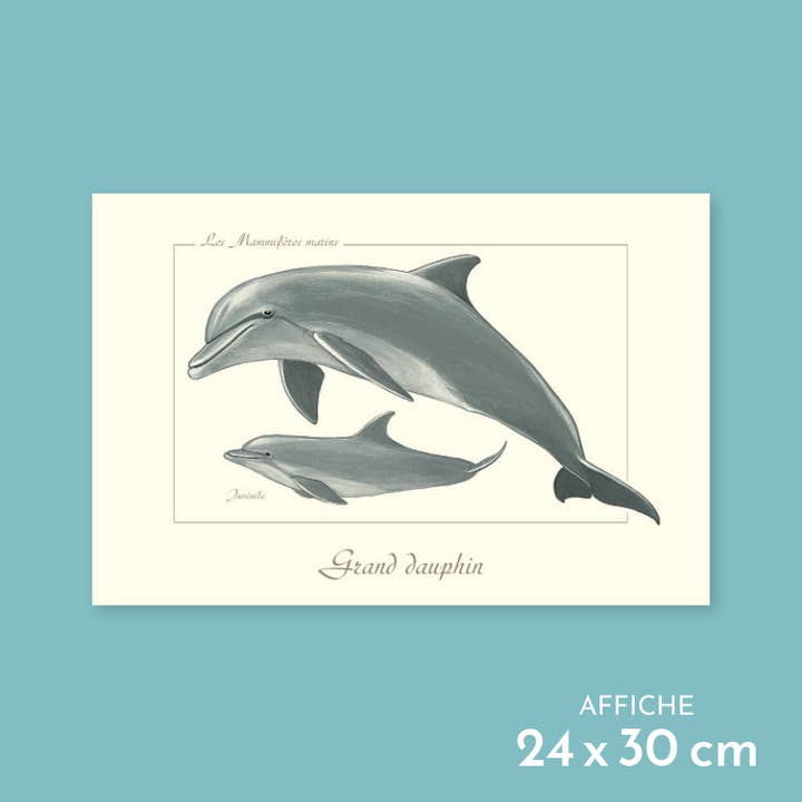 Grand dauphin - Affiche pour la vente par Longue-vue