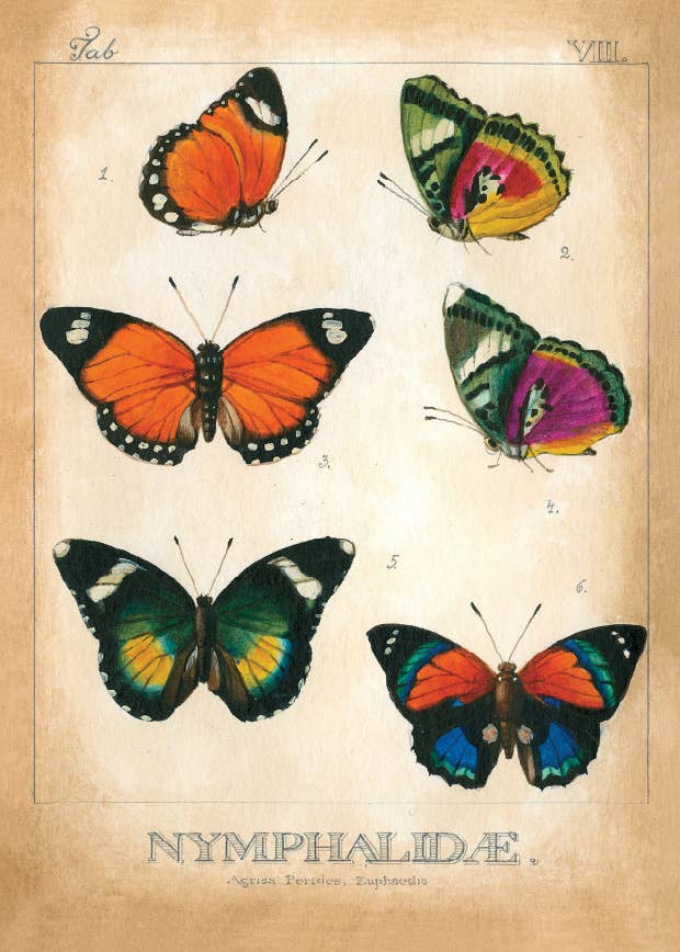 Bomo Art Budapest - Wholesale Everyday Greeting Card - Greeting Card + Envelope64