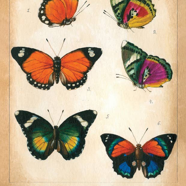 Bomo Art Budapest - Wholesale Everyday greeting card - Greeting Card + Envelope64