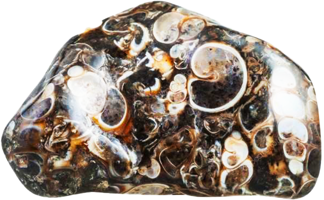 trinidad - Vente Pierre et cristal de spiritualité - Sac de 20 unités d’agate turritela1