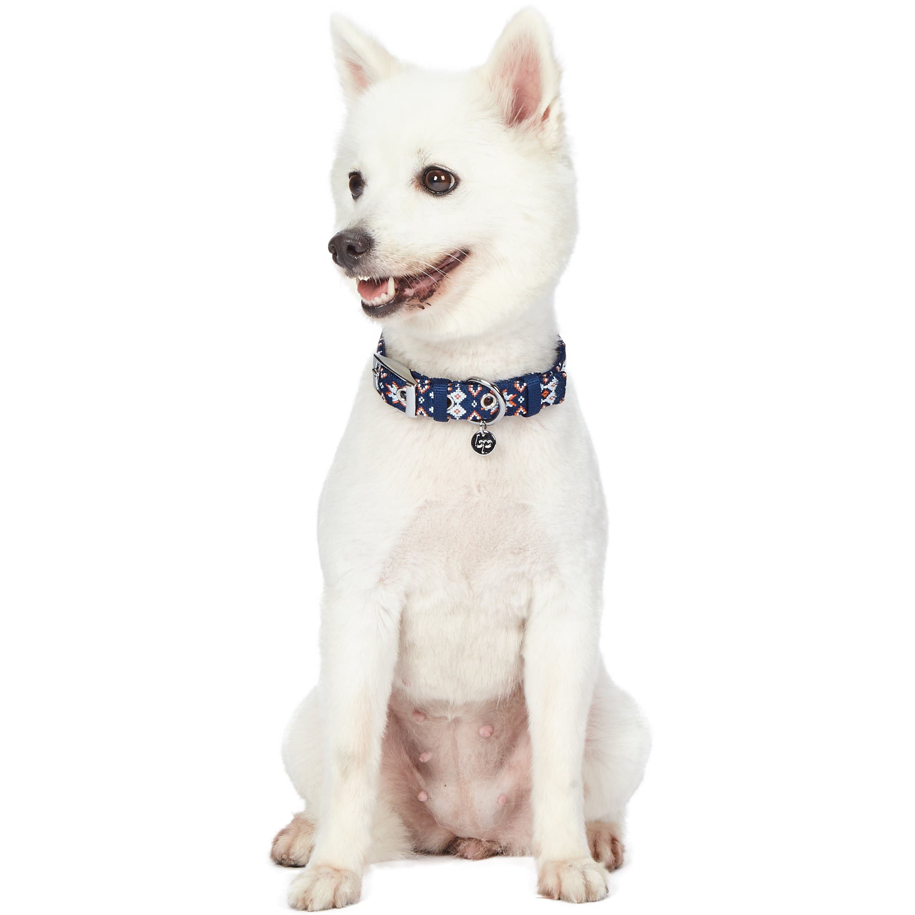 Blueberry Pet - Wholesale Pet Collar - Dog - Southwestern Pattern Polyester Webbing Dog Collar1