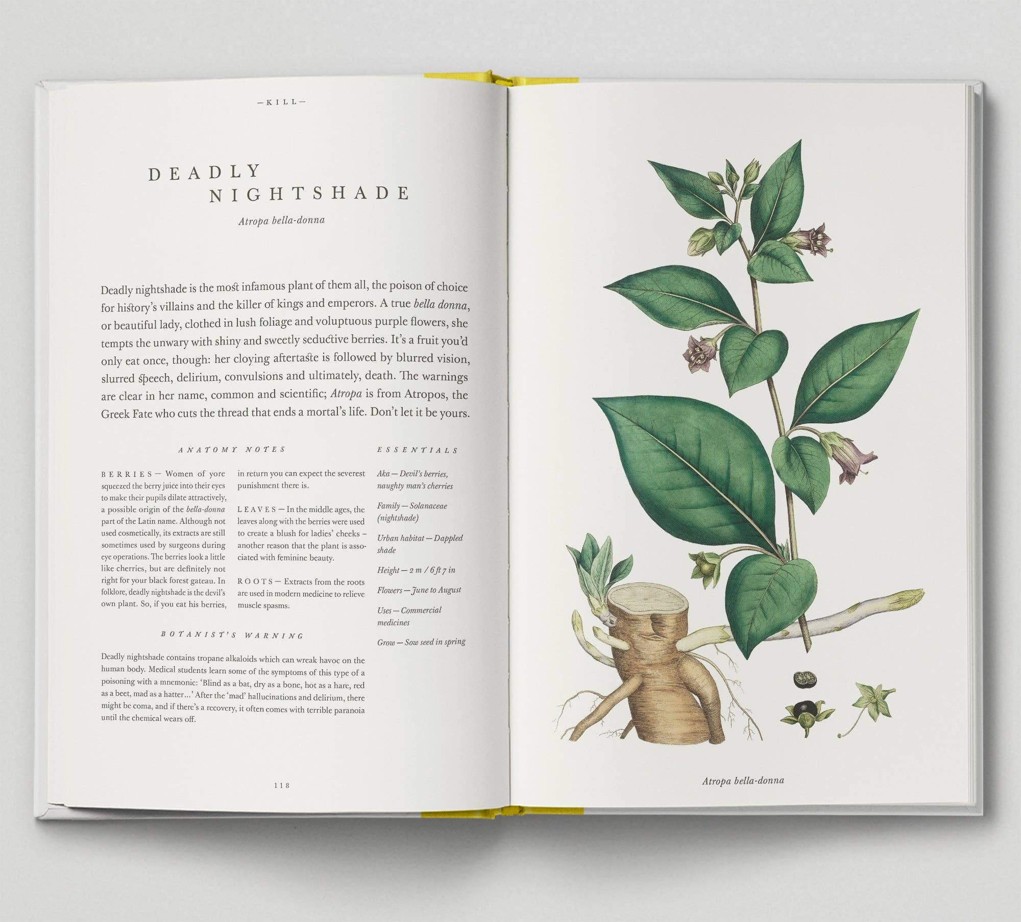 Hoxton Mini Press - Vente Livre sur la nature et les activités de plein air - The Botanical City7