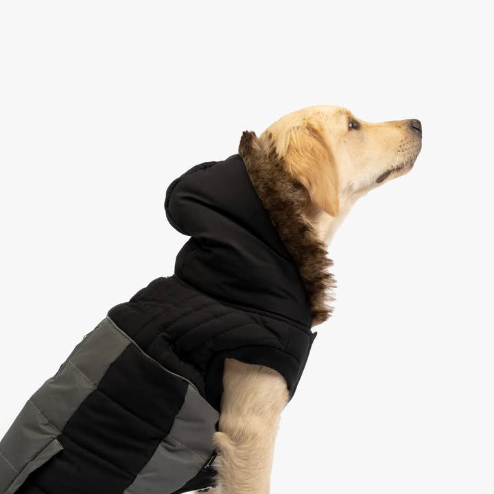 Bailey Dog Jacka - Svart för wholesale av Silver Paw