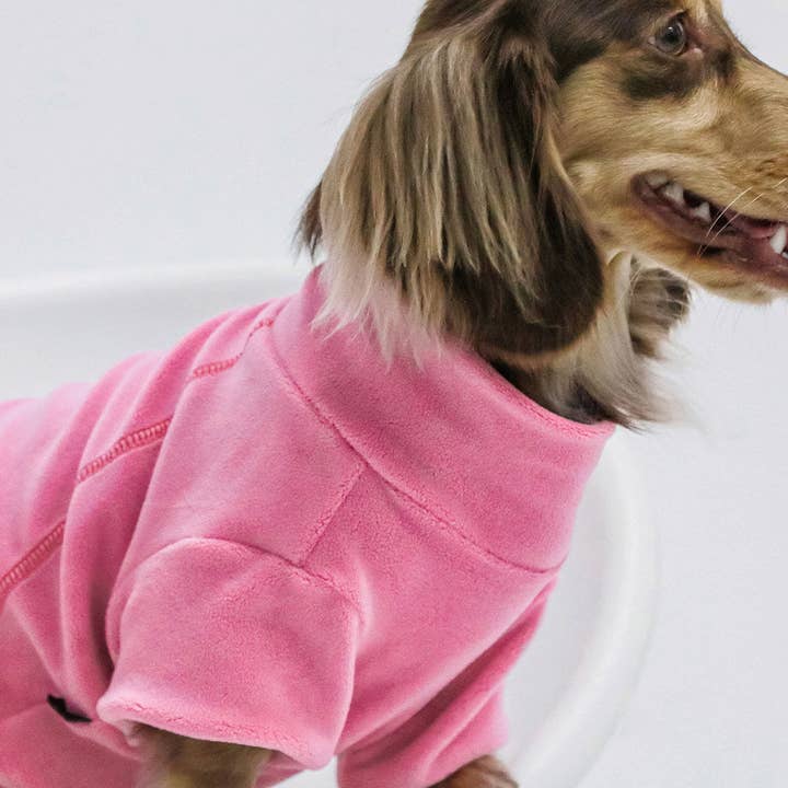 Fitwarm - Wholesale Pet Sweater - Dog - 3 Pack Turtleneck Sweater15