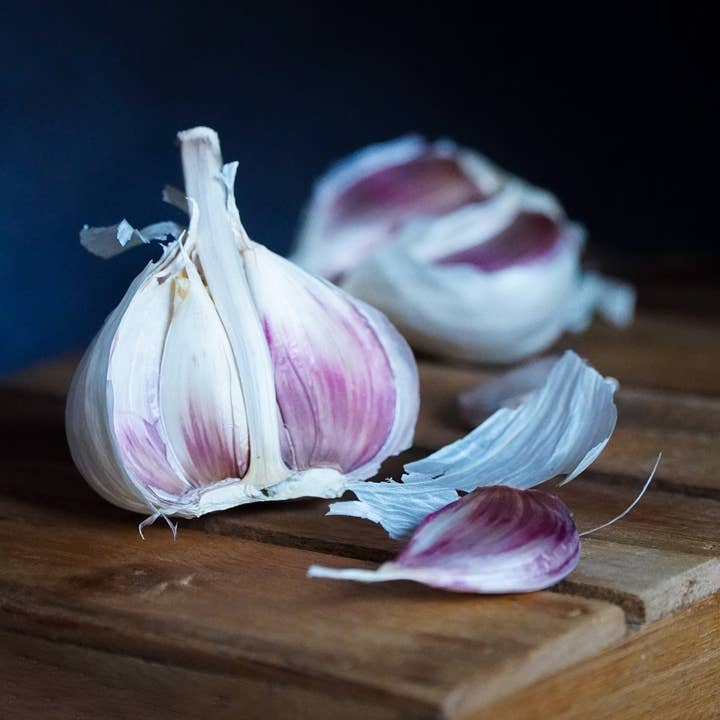 Purple Pehoski for wholesale by Midwest Heirloom Garlic