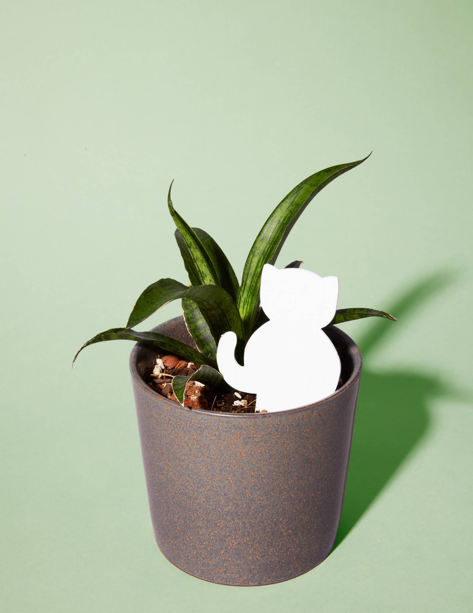 PlantDoc - Wholesale Garden Tool - Cat PlantDoc: Color-Change Plant Moisture Meter