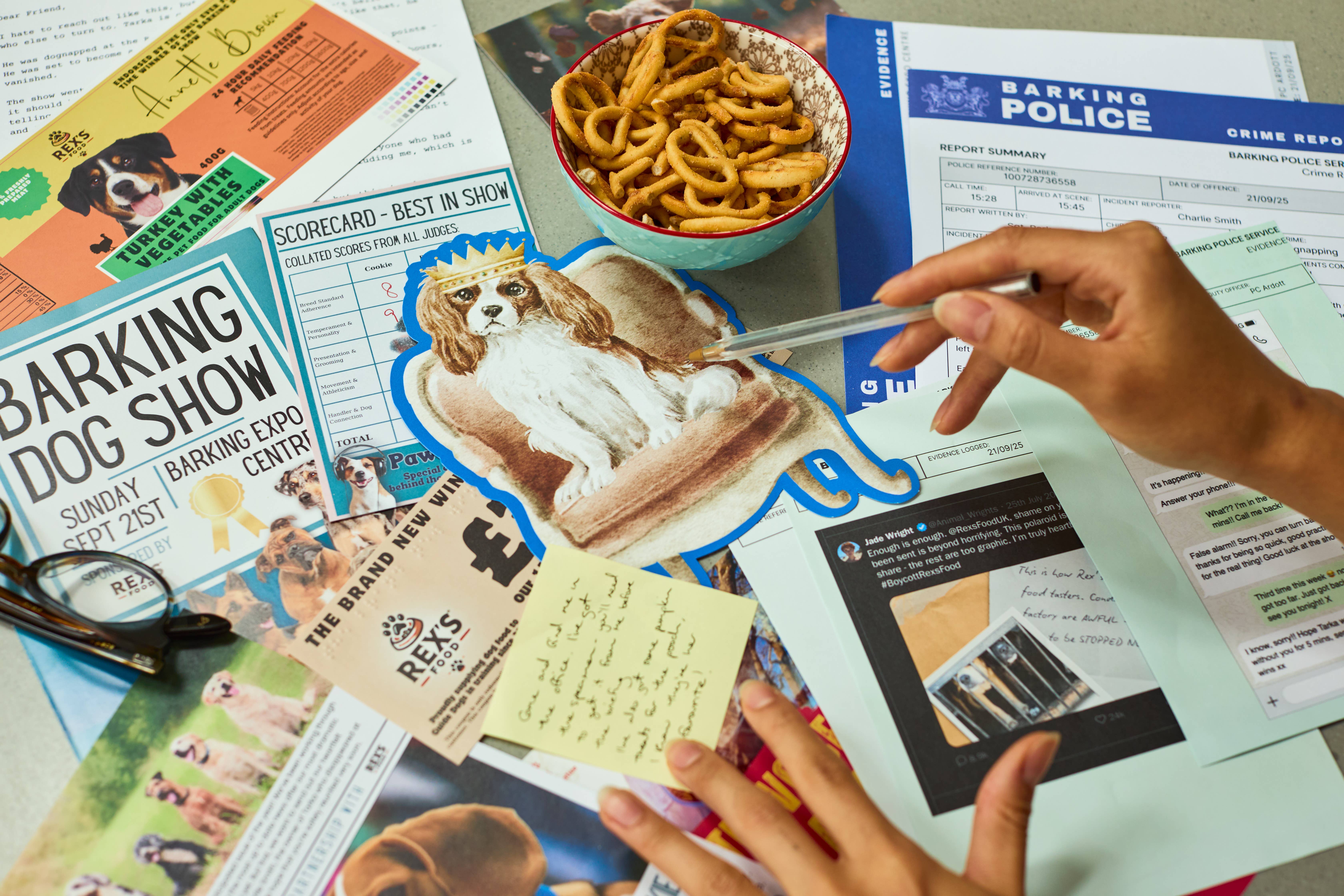 Puzzle Post Games – Jogo de tabuleiro por atacado – NOVA GAMA! Cold Case: Quem Deixou os Cães Sair?6