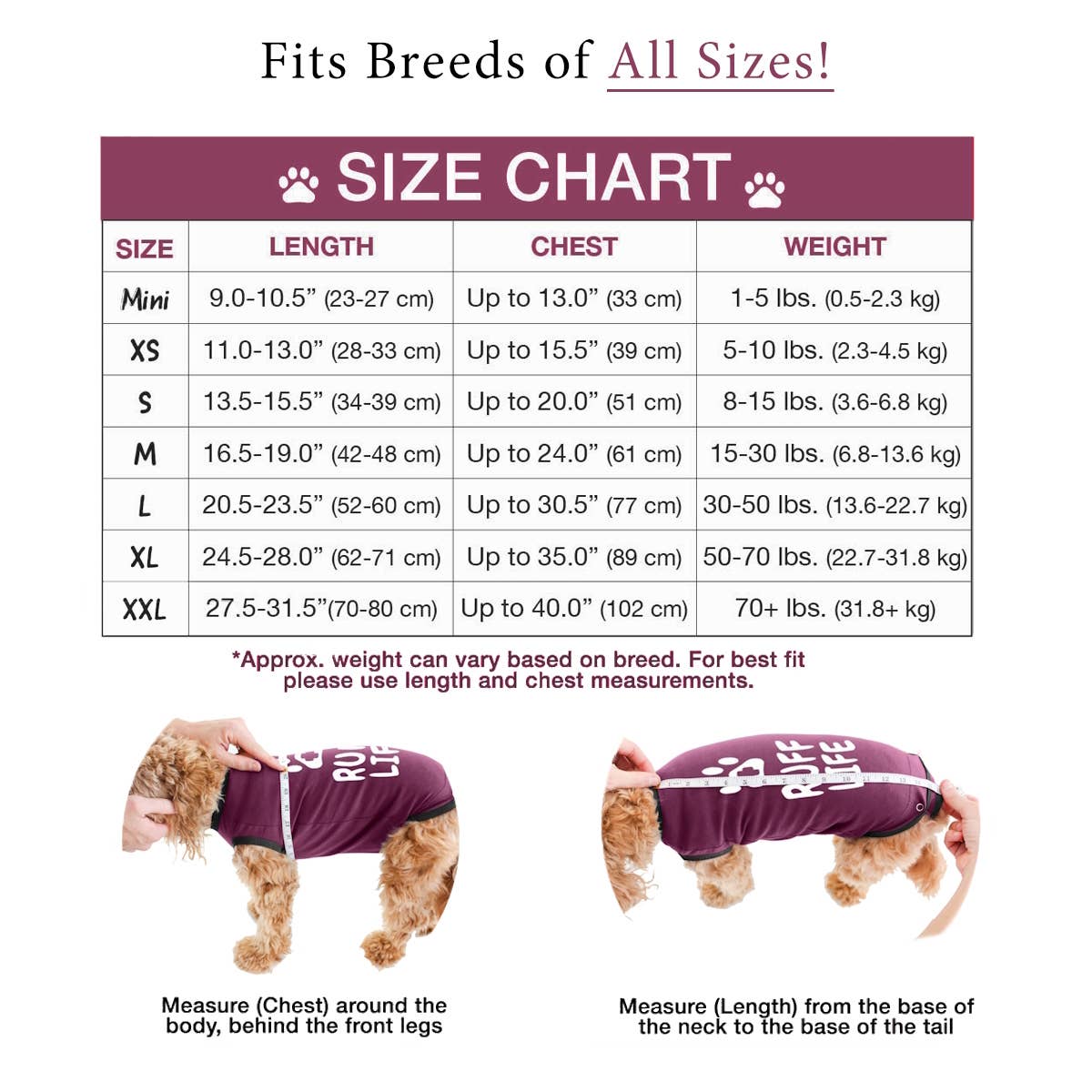 Marron Combinaison de Récupération BellyGuard pour Chiens - Bordeaux en vente sur Faire2