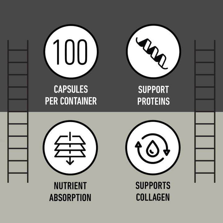 Complete Natural Products - Wholesale Oral Supplement/Vitamin - L-Lysine Capsules7