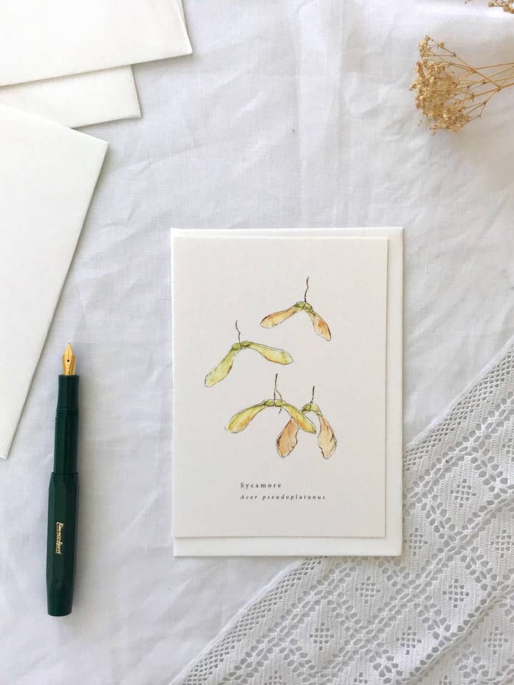 Sycamore Botanical Illustration Card for wholesale by Annie Brougham Paper Goods.