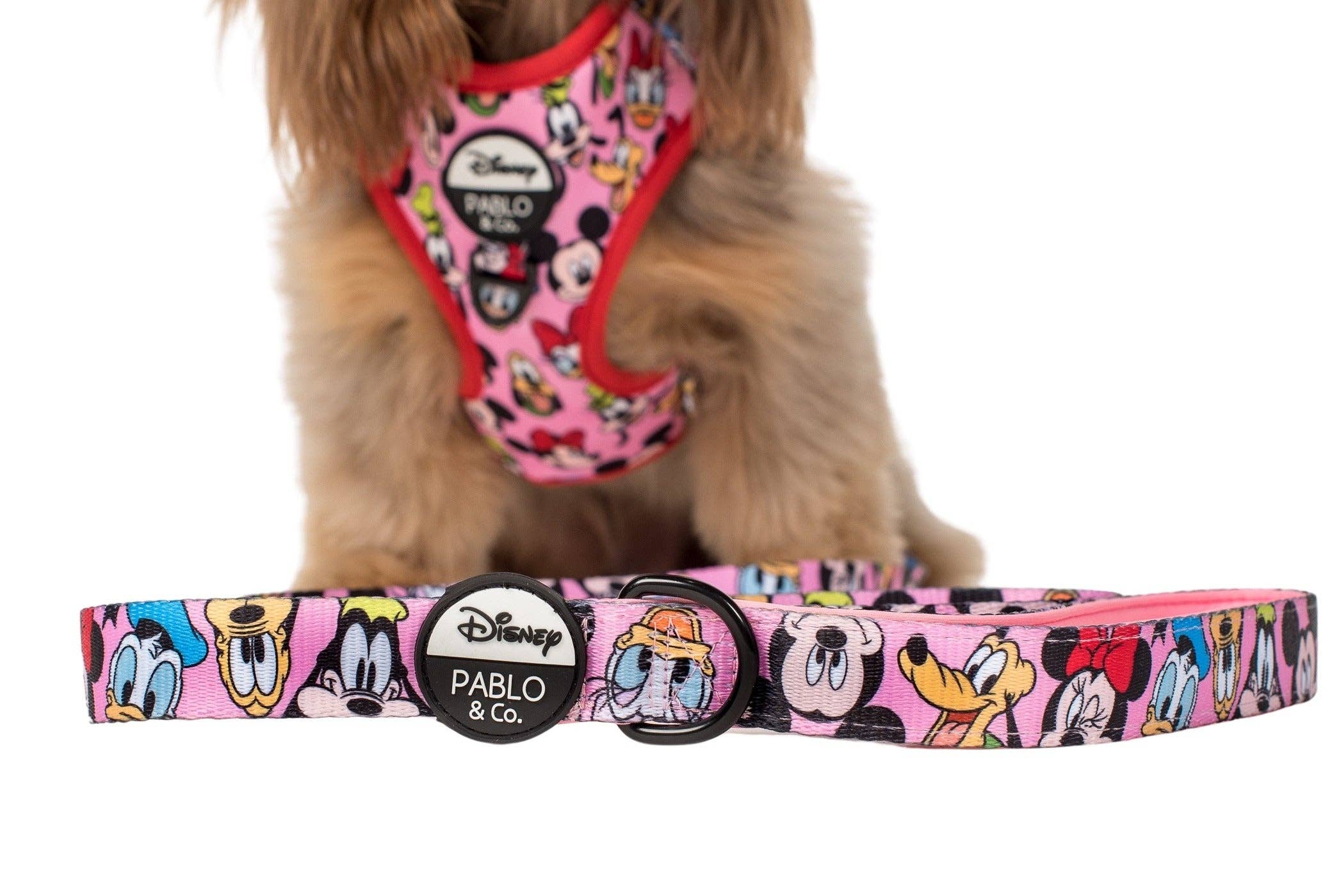 Pablo & Co. Boutique – Großhandel Leine – Hund – Mickey & Friends - Pink: Hundeleine0