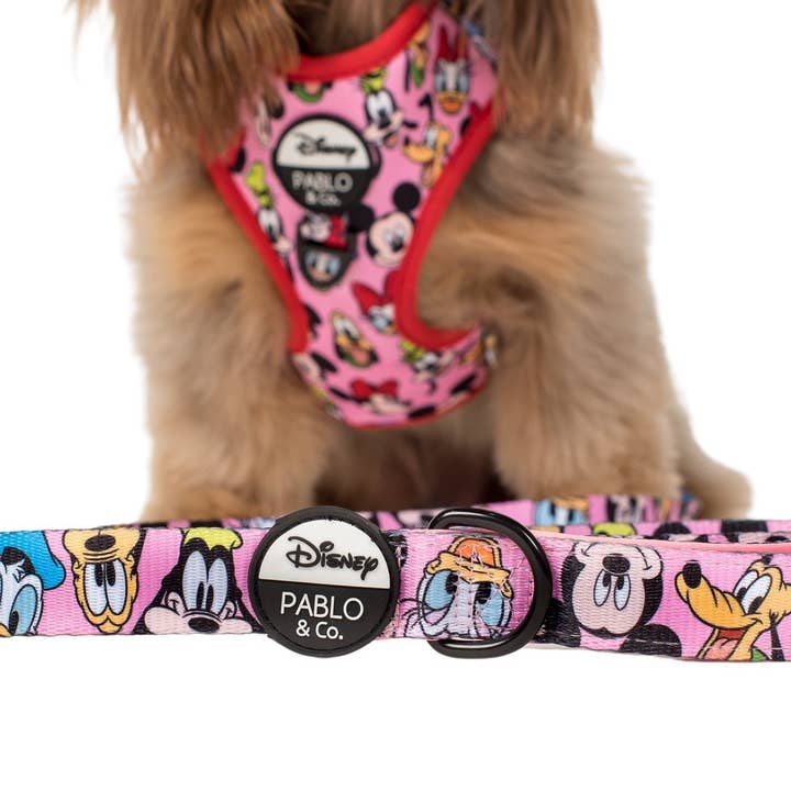 Pablo & Co. Boutique - Wholesale Pet leash – Dog - Mickey & Friends - Pink: Dog Leash0