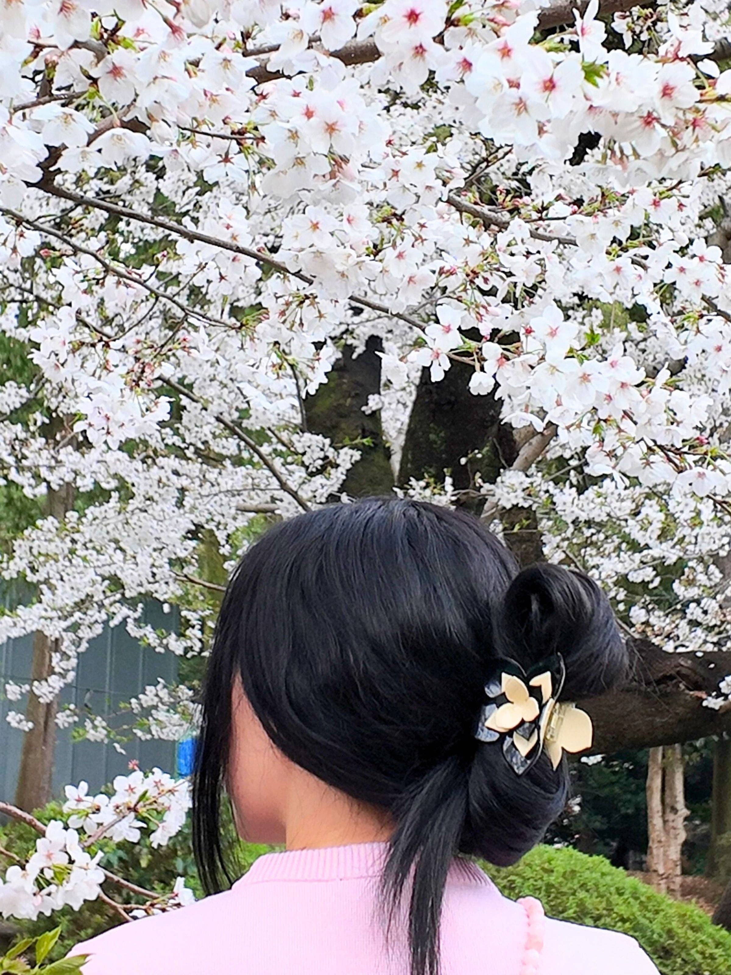 Solar Eclipse - Wholesale Hair Clip - Women's - Hand-painted Origami Magnolia Flower Hair Clip10