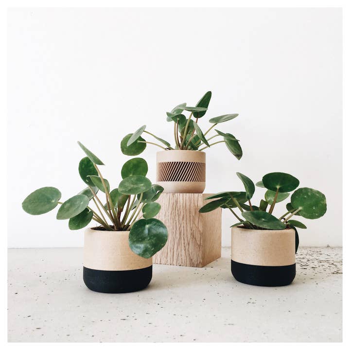 MINIMUM DESIGN - Wholesale Plant pot - Two-tone Indoor Planter - Ecotool2