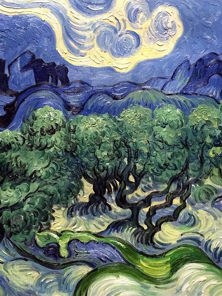 Olive Trees with the Alpilles in the Background for wholesale by La Pastiche