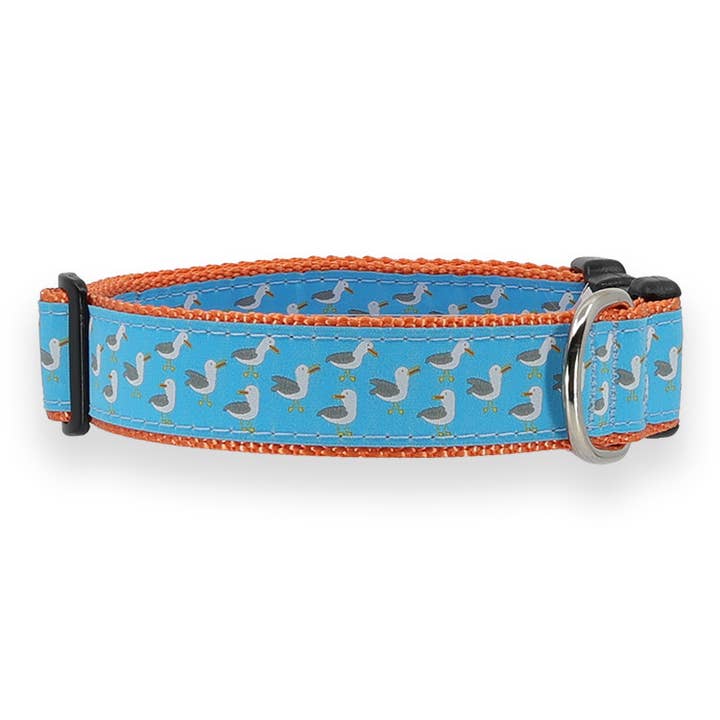 Goélands pour la vente par Preston Ribbons