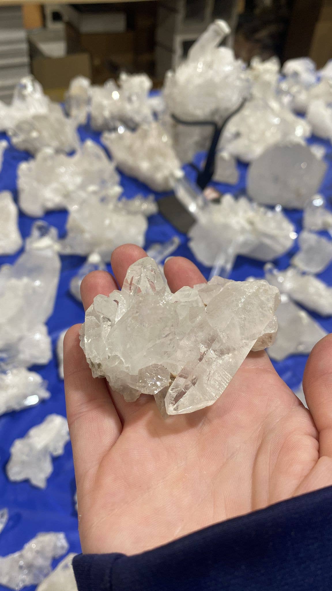 Quasar Gems USA - Vendita all'ingrosso Pietra/cristallo spirituale - Cluster di quarzo trasparente2