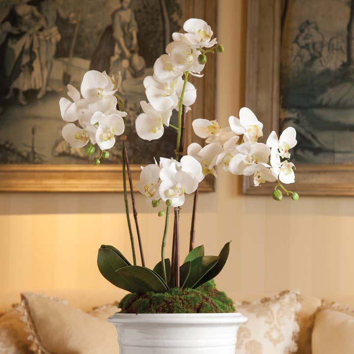 Napa Home & Garden - Wholesale Artificial Flowers - Phalaenopsis Orchid Drop-In 30"-White1