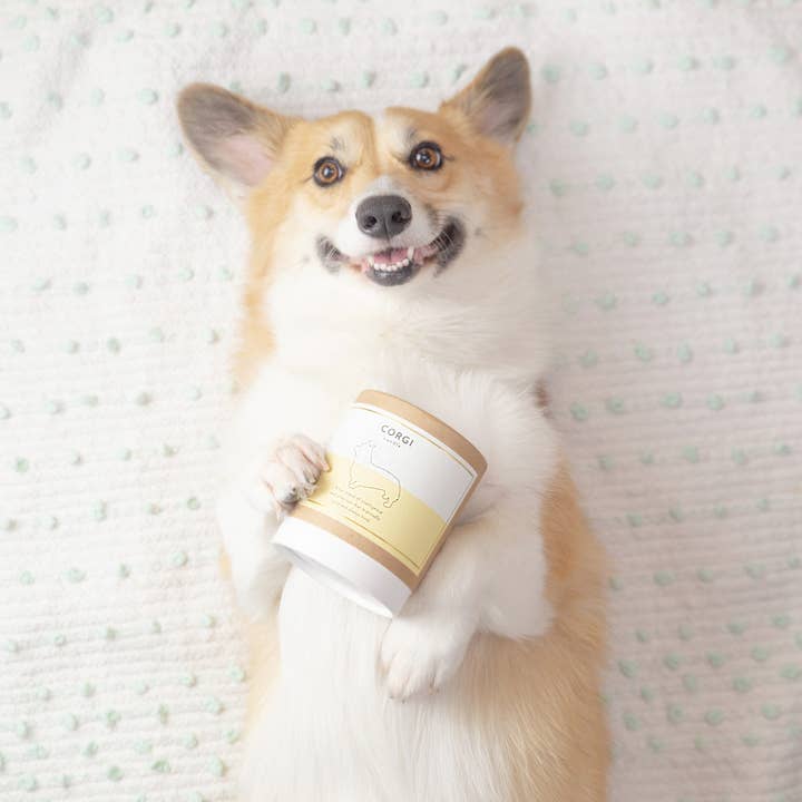 Scripted Fragrance - Wholesale Jar/Filled Candle - Corgi Dog Soy Candle in Drinking Glass Two-In-One Gift3