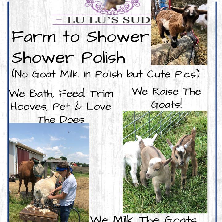 Lu Lu's Suds – wholesale Body wash/shower gel – Cotton Clean Body Shower Polish 8 oz.