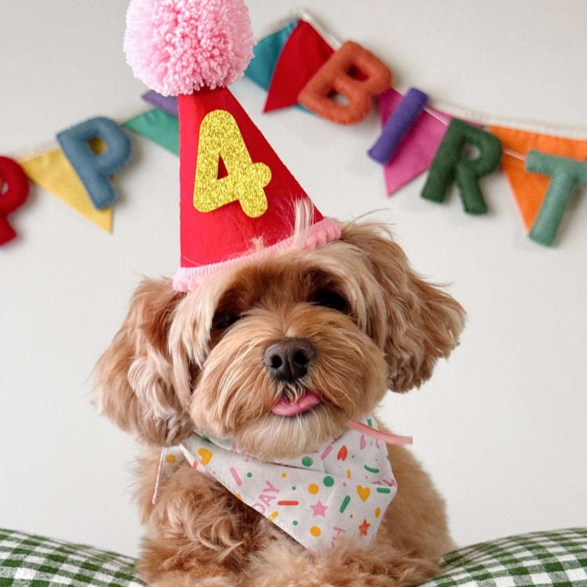 The Paws - Wholesale Pet Bandana - Dog - Sparkle Pawty Pink Dog Bandana1