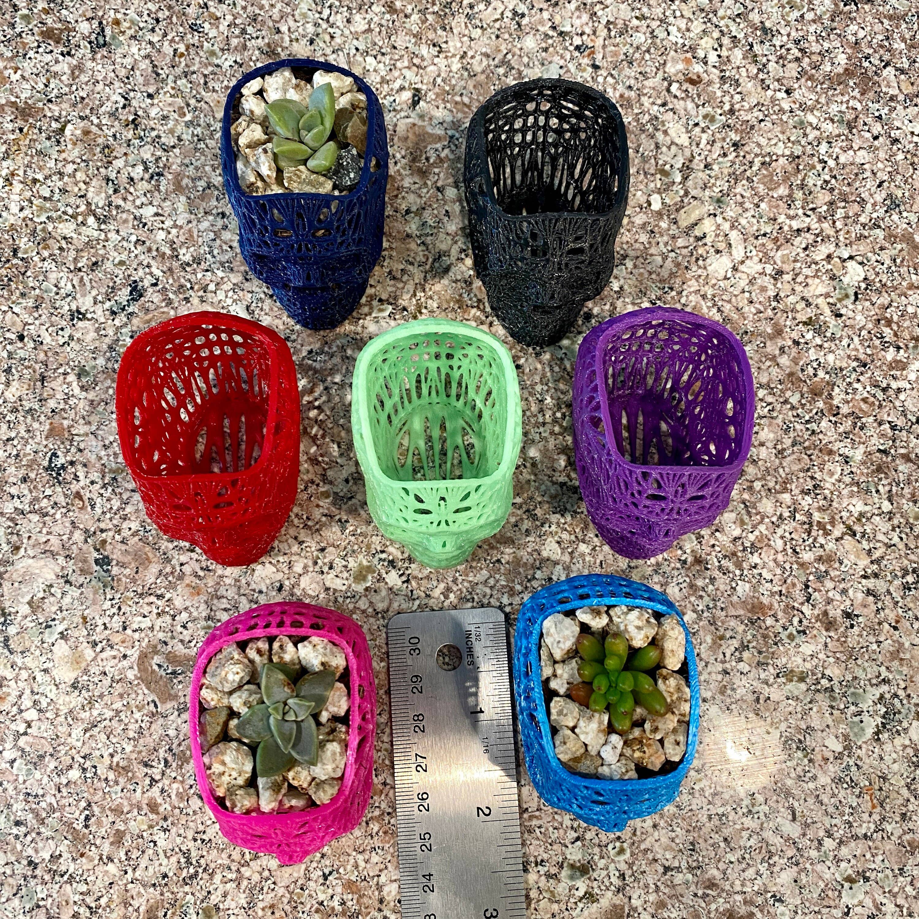 NumanPrints - Wholesale Plant Pot - 3D Printed Succulent Skull Planter Pot Small Indoor0