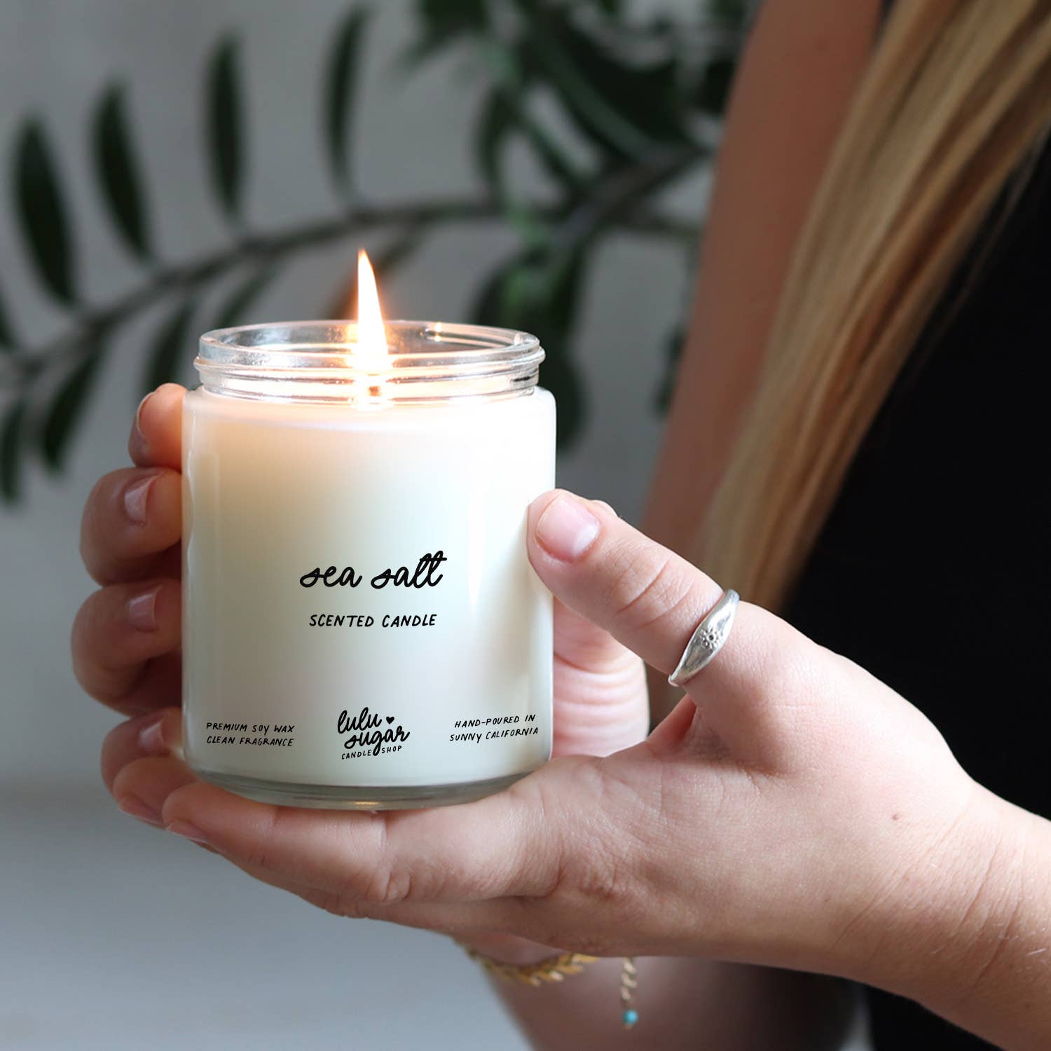 Lulu Sugar - Wholesale Jar/Filled Candle - Sea Salt Scented Candle - Boxed Candle2