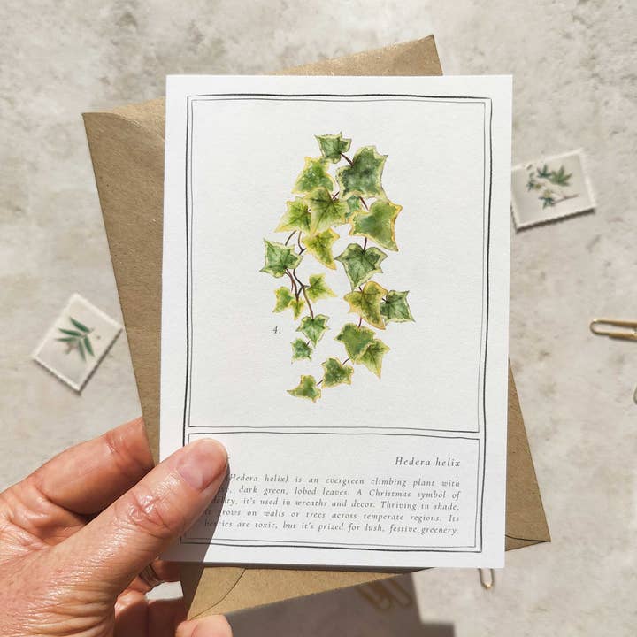 Christmas Botanical Folded Note Card and Envelope Ivy for wholesale by Paper Willow