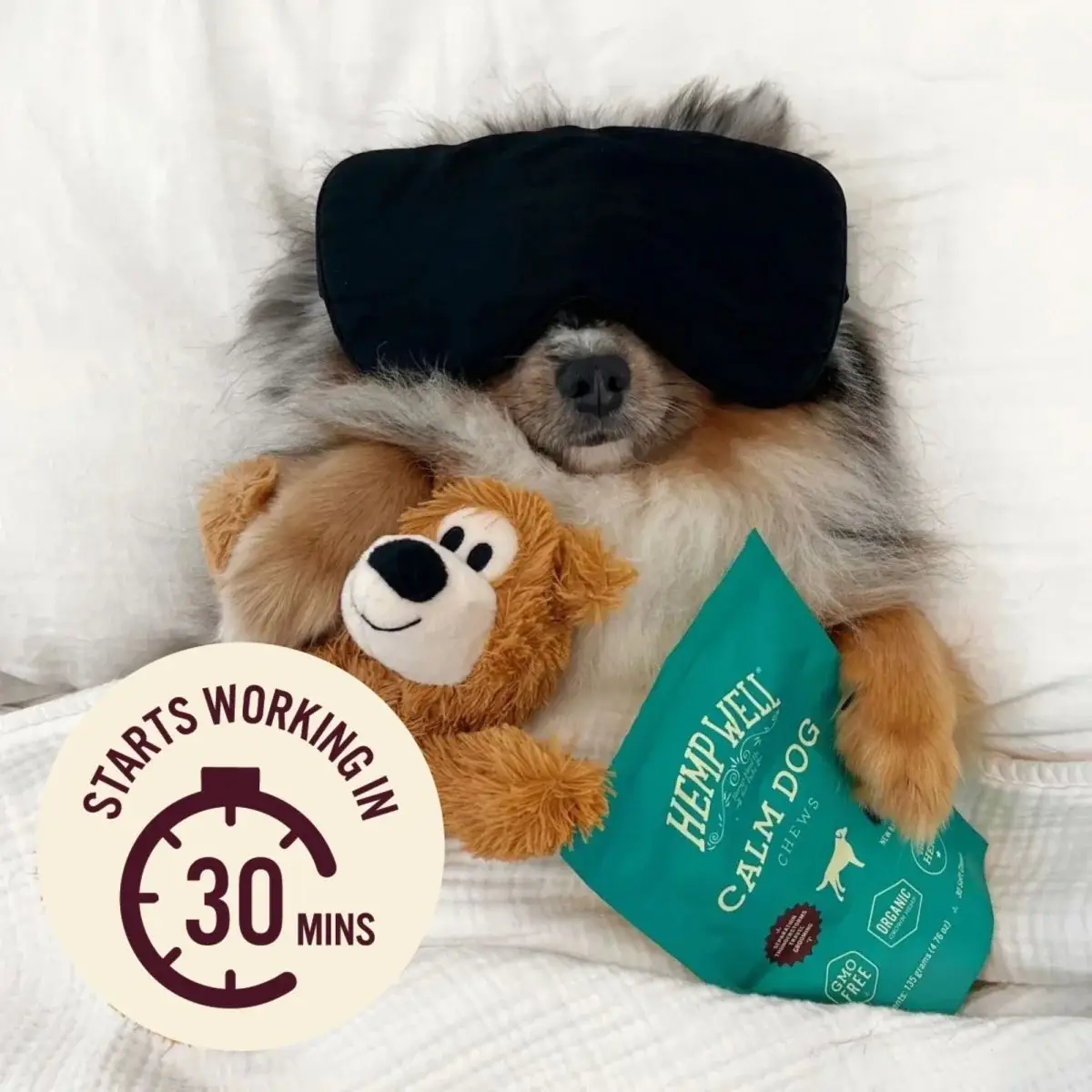 Hemp Well - Wholesale Pet Supplement - Dog - Hemp Well Calm Dog Soft Chews2