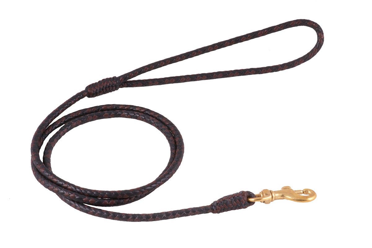 Alvalley - Wholesale Pet Leash - Dog - Braided Leather Snap Leads58