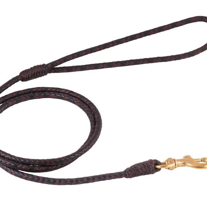 Alvalley - Wholesale Pet Leash - Dog - Braided Leather Snap Leads58