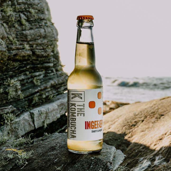 The Kombucha - Vendita all'ingrosso Kombucha - The Kombucha Ingefær (zenzero)0