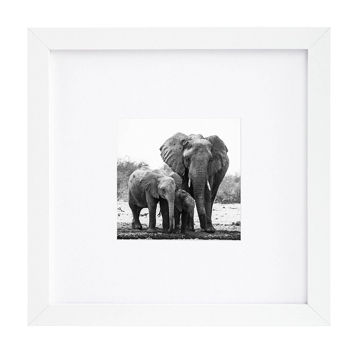 Americanflat - Wholesale Picture Frame - Americanflat Picture Frame with Mat Standard Molding182
