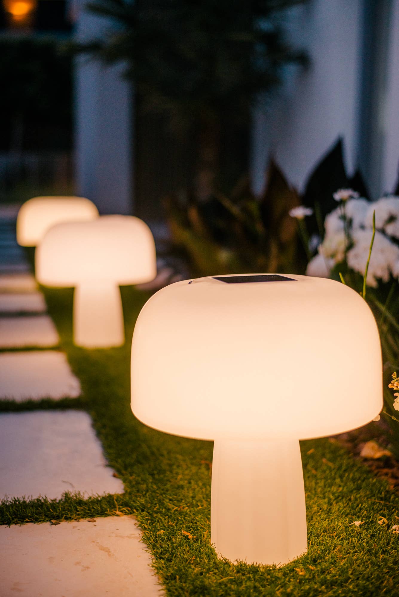 Goodnight Light - Wholesale Accent/Desk Lamp - The Boleti Lamp - Solar powered, portable lamp5