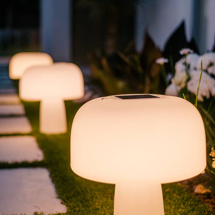 Goodnight Light - Wholesale Accent/Desk Lamp - The Boleti Lamp - Solar powered, portable lamp5