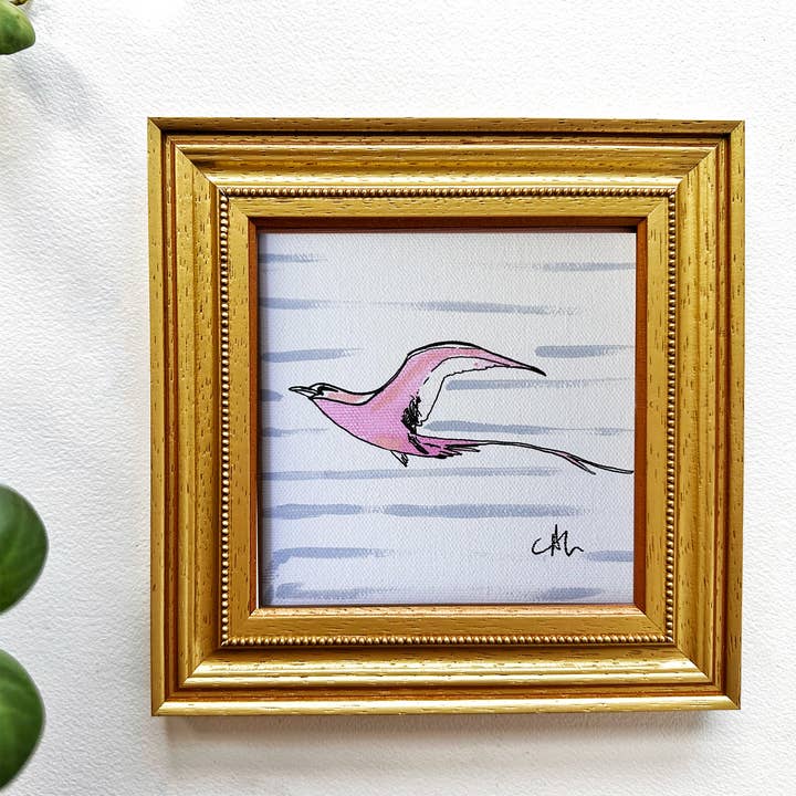 Oiseau tropical à queue blanche, impression d'art encadrée sur toile pour la vente par Green Barn Studio