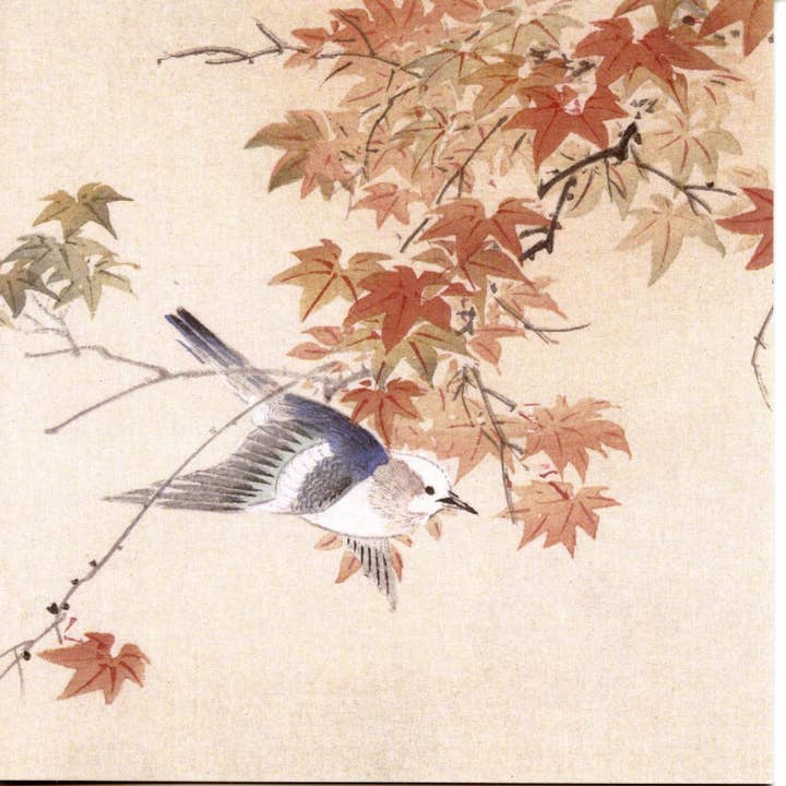 FÅNGA 12X12 DUBBLA KORT SNC 4739 för wholesale av Phenicia