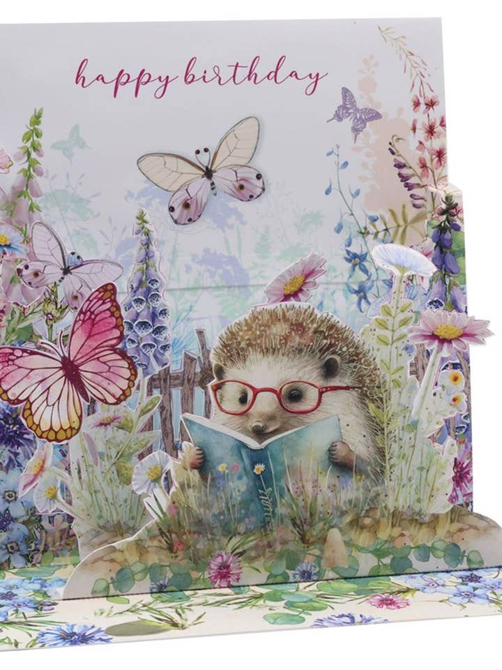 2445-22674 - 3D Pop-Up Pequeno ouriço a ler um livro por atacado de Multi Técnica de Papelería SA