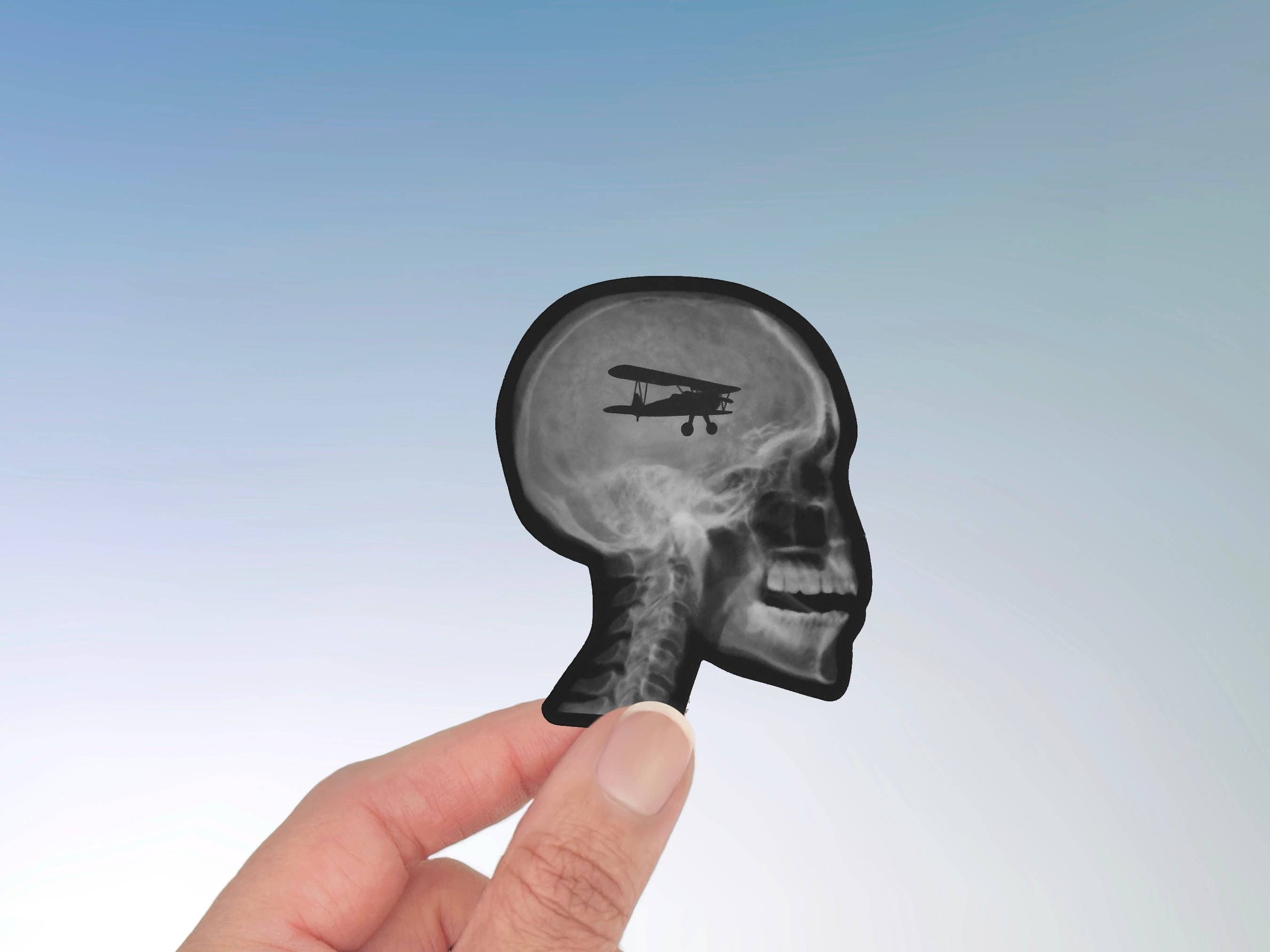 Rebecca Waechter Art - Wholesale Sticker - Pilot Skull & Cessna Plane Waterproof Stickers0