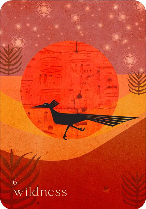 Simon & Schuster - Wholesale Tarot Cards - Wild Whispers Oracle by Nat Girsberger6