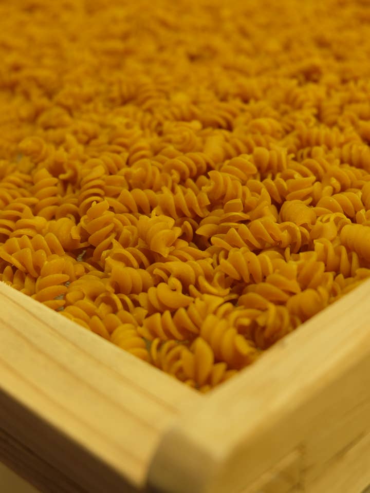 Pasta - Provencal Twist - BULK 5kg for wholesale by PATES FABRE