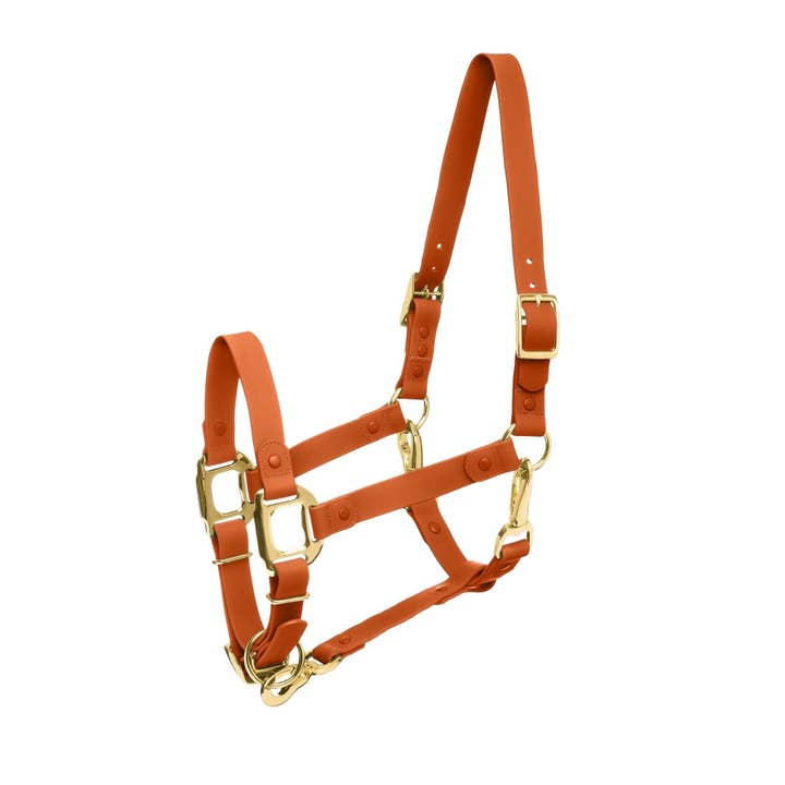 iDoggos - Vente Équipement d’équitation - Licol pour chevaux IMPERMÉABLE *MAINTENANT DISPONIBLE*7